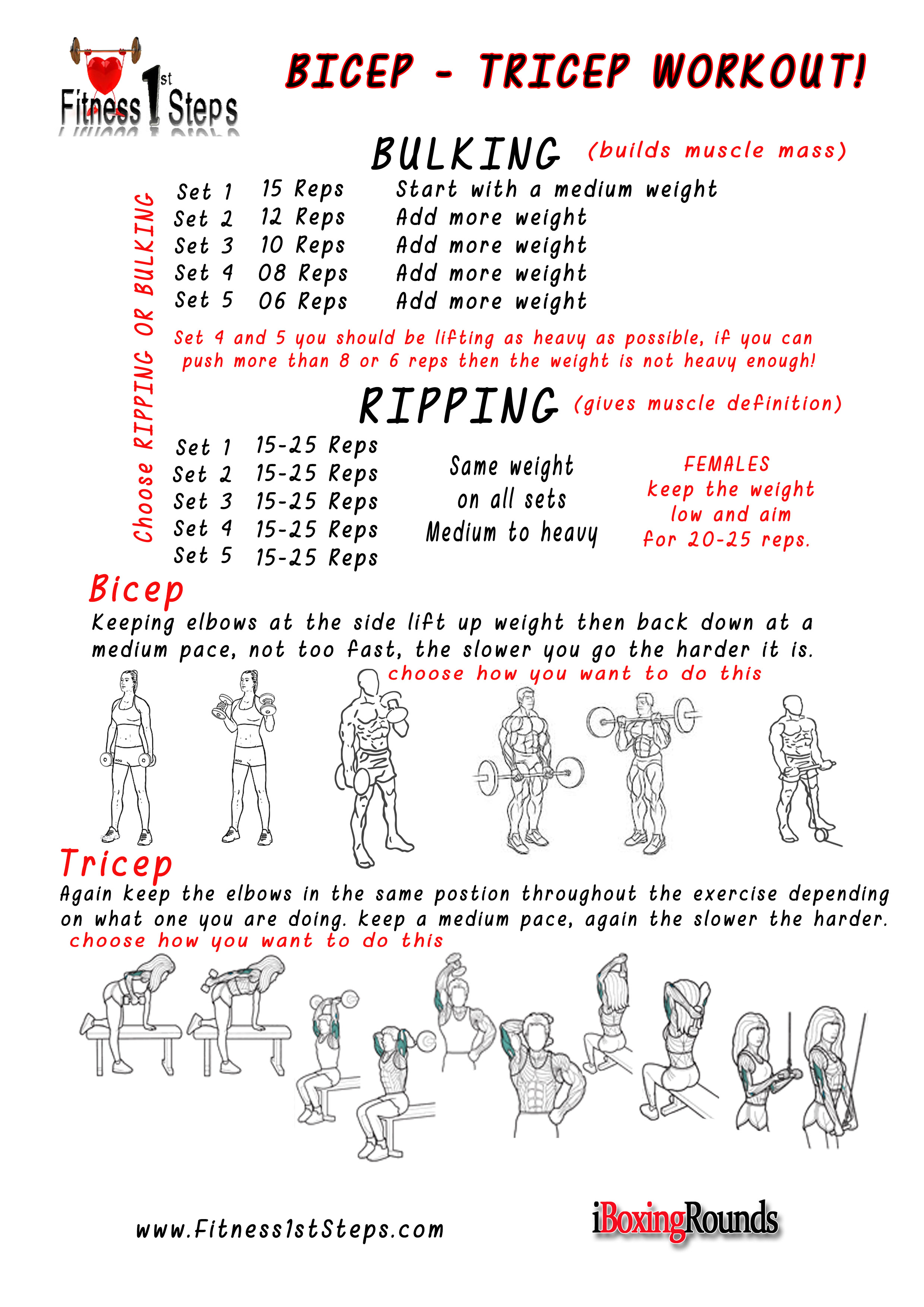 Fitness1stSteps Tricep & Bicep workout sheet - Fitness 1st Steps
