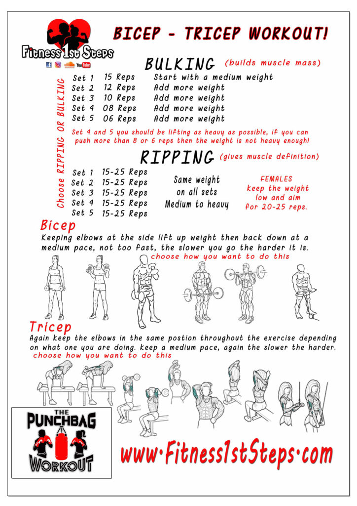 Biceps and Triceps workout chart