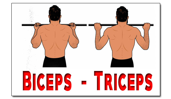 Biceps and triceps pull up workout