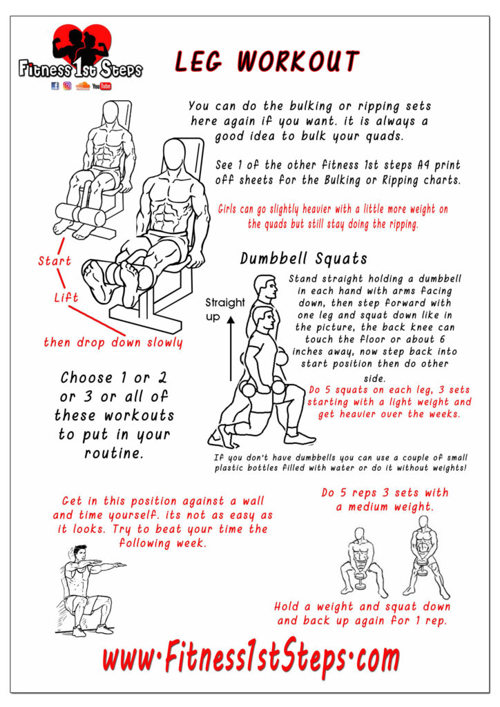 Leg ( quads and calves ) exercises
