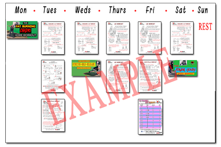 Weekly plan set out example